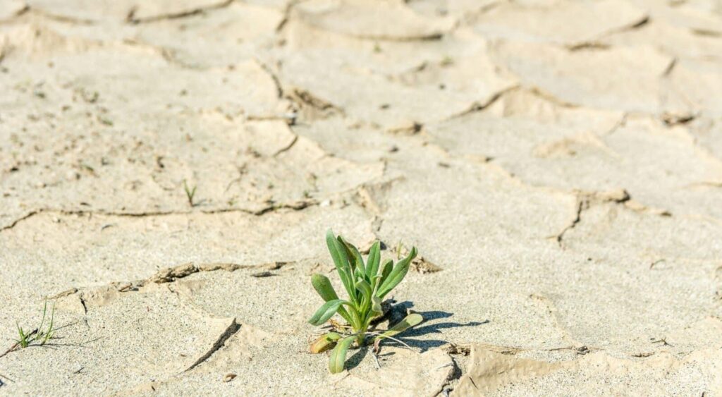 CO₂ Budgets are Reshaping How Associations & Event Organisers Plan Conferences