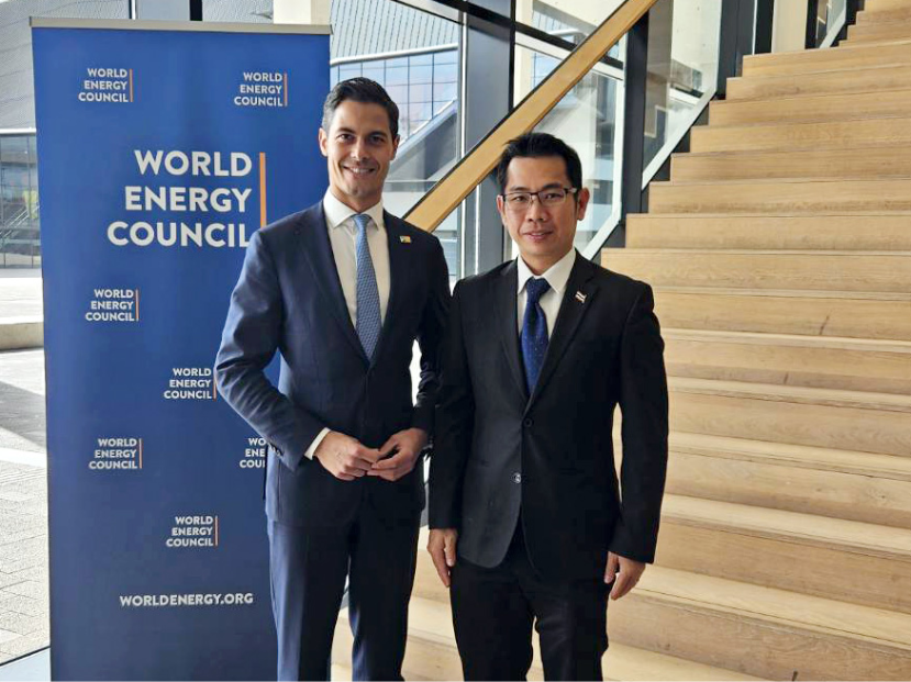 World Energy Council (WEC) 